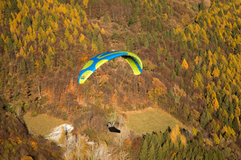 �������� ICARO BUTEO XC